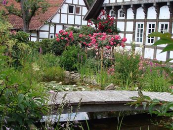 igk Krabbe - FirmenGärten 2014