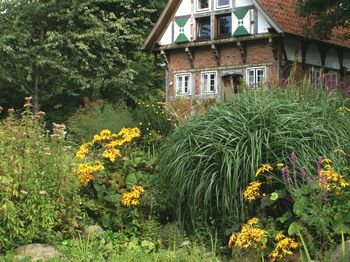 igk Krabbe - FirmenGärten 2009