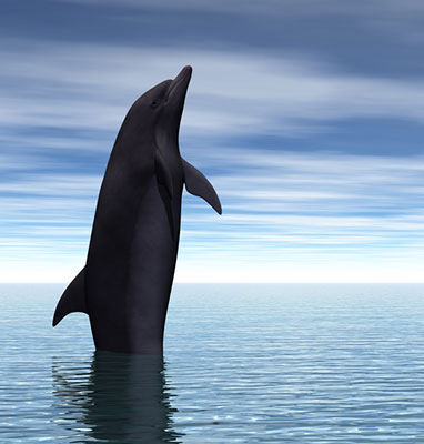 igk Krabbe - Baustellen